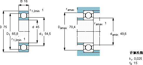 SKFW 6009軸承圖紙