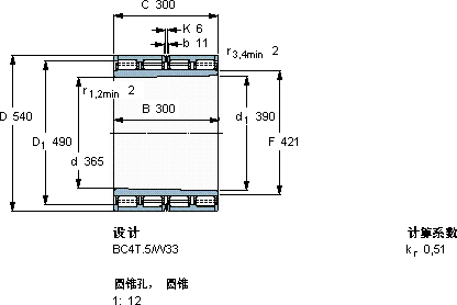 SKF313041 C軸承圖紙