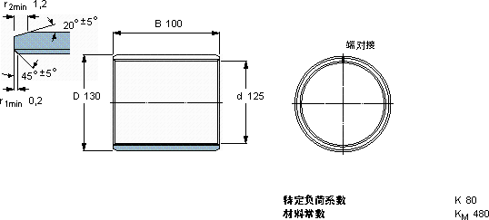 SKFPCM 125130100 B軸承圖紙