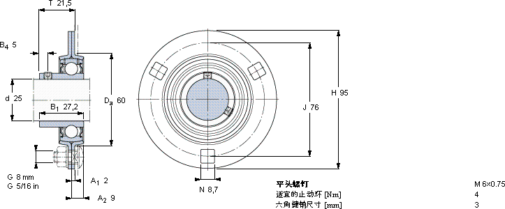 SKFPF 25 RM軸承圖紙
