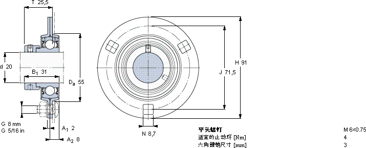 SKFPF 20 FM軸承圖紙