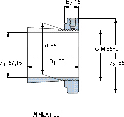 SKFHE 313 E軸承圖紙