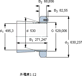 SKFSNP 30/530x19.1/2軸承圖紙