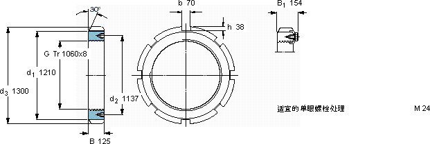 SKFHM 31/1060軸承圖紙