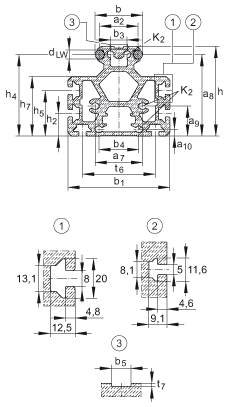 INA導軌 LFS52-M, 中空截面輪廓，帶安裝槽，帶兩根軌道軸；可提供耐腐蝕設計