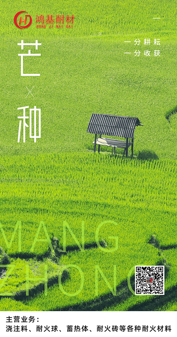 今日芒種！一份耕耘，一份收獲